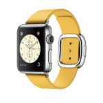 Modern Buckle Apple Watch